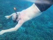 Red Devil Restaurant and Bar